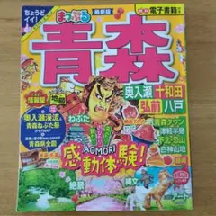 週刊少年ジャンプ袋とじ ファミコン怪盗芸魔団 ドラゴンクエストIV特集