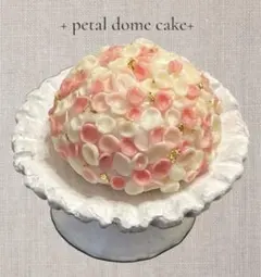 2025年最新】ケーキドーム アンティークの人気アイテム - メルカリ