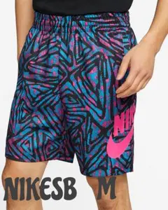 NIKE ナイキ　SB シーズナル サンデイ ショートパンツ　Mサイズのサムネイル