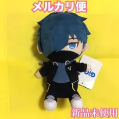 Crazy Raccoon CR VanilLa バニラ　ぬいぐるみ　チェキ Crazy Raccoon CRフェス2025 チェキ VanilLa バニラ - メルカリ