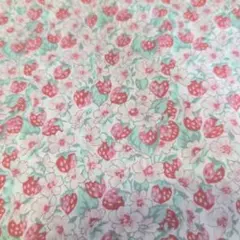 リバティ生地③ アシュテッド 生地巾‪✕‬40cm