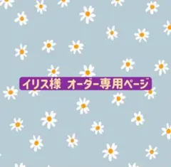 イリス様 ウィッグオーダー専用ページ フリーナ シグウィン