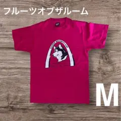 フルーツオブザルーム　Tシャツ 　M　ピンク　ハスキー犬　スクリーンスターズ