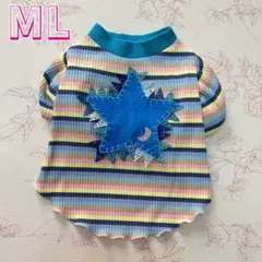 Item thumbnail for item 63602a79-6eb5-4b7b-9183-ede0cf79cd27