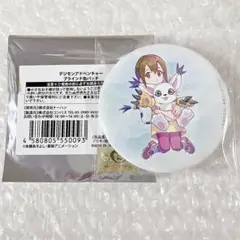 デジモン　八神ヒカリ&テイルモン　グッズまとめ売り デジモンアドベンチャー - 描き下ろし 八神ヒカリ&テイルモン