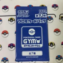 ポケモンカード 未開封 プロモカードパック 2種2パックセット ①