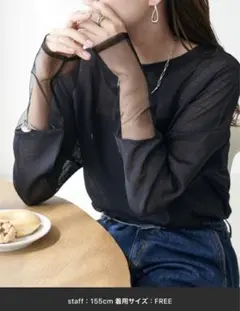 ディスコート　シアー袖切替プルオーバー