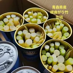 2026年 秋田県産 たけのこ 缶詰 ネマガリダケ 根曲がり竹 - メルカリ