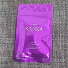 日新商事　KANKA カンカ2袋 防水モデルが新登場！ アルパインスターズの「KANGA-2 WAIST BAG