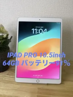 IPAD PRO 10.5inch 64GB バッテリー91％