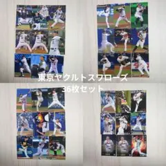 プロ野球チップ　東京ヤクルトスワローズセット