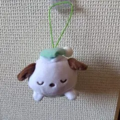 ★サンリオ　ポッチャコ　マスコット ストラップ付き