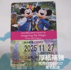 ディズニーリゾートライン フリーきっぷ イマジニングザマジック