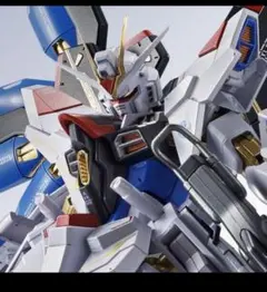 METAL ROBOT魂 ＜SIDE MS＞ ストライクフリーダムガンダム