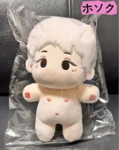 ミンハオ ぬいぐるみ 10cm 新品 マスター セブチ svt - メルカリ