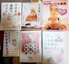 Item thumbnail for item 2b5cc955-8617-401a-a352-2d5d8c1aa3cf