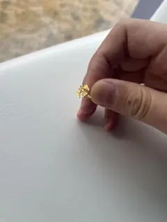 アリゾナフリーダム　サンダーバード　ピアス　k18