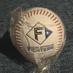 日本ハムファイターズ　山崎福也　レプリカサインボール