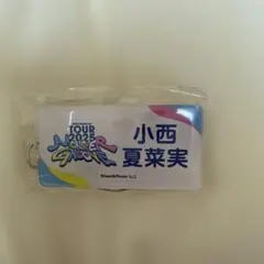 Item thumbnail for item 16af6010-1e66-4627-8ddd-9ede01ed5985