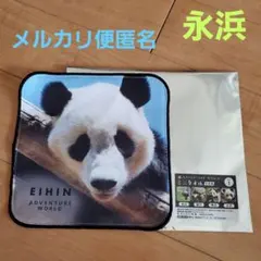 2025年最新】アドベンチャーワールド クリアファイルの人気