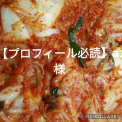 【プロフィール必読】a.様専用です。