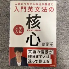入門英文法の核心 関正生 KADOKAWA