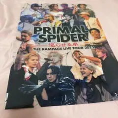 ランページ クリアポスター　プラスパ　巡らせる糸