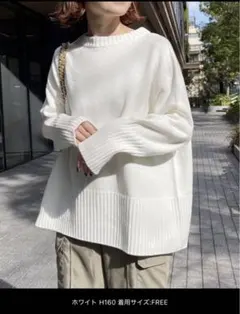 Spick and Spanバルキーヤーン ロングリブプルオーバー