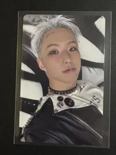 SEVENTEEN HBDトレカ ホシ