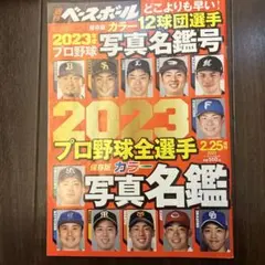 Item thumbnail for item 0483a482-75cf-4a49-812a-b3170844f49b