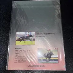 【JRA】エルコンドルパサー、オルフェーブル◆クリアファイル（送料込）［競馬］のサムネイル