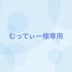 むってぃー様専用（1/16まで出品）