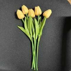 Item thumbnail for item 903139f3-eed3-4f7d-b6d9-1182f8c2ea0a