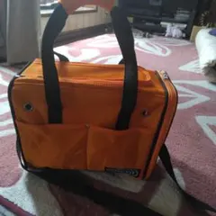 Item thumbnail for item 14600df8-05f2-482c-ad66-31f907453ef4