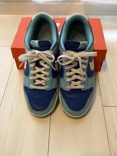 ナイキ ダンク ロー レトロ QS アルゴン 2022