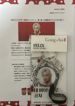 2026年最新】グループ名：Stray Kids キーホルダーの人気アイテム