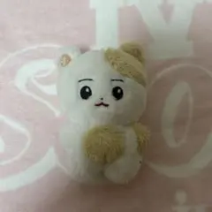 ヒスン EVAN マスター 10cm ドール
