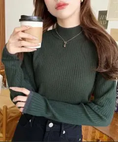 moment+ ボトルネック配色ラインワイドリブニットプルオーバー