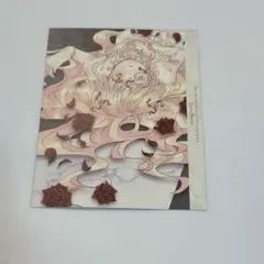 2026年最新】ローゼンメイデン カードの人気アイテム - メルカリ