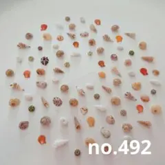 no.492 ウニ殻と天然ミニ貝殻 セット