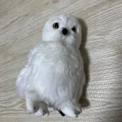 ハリーポッター　ヘドウィグ　現地購入品