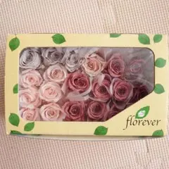 ハルタケ様 リクエスト 3点 まとめ商品