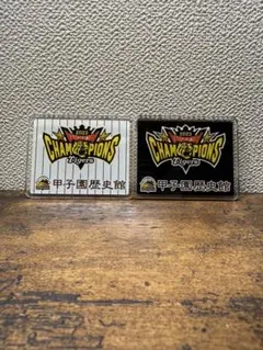 Item thumbnail for item dd49a332-de6c-45c5-a6e0-925b924516a5