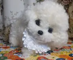 白い犬　ビションフリーゼ　子犬　口開閉有　アートドール　底値