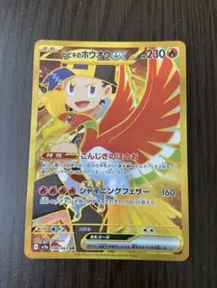 2026年最新】ホウホウex urの人気アイテム - メルカリ