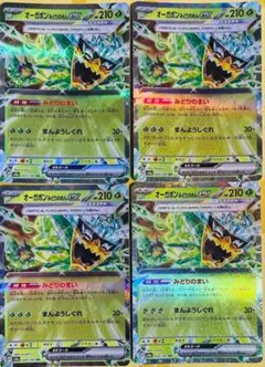 オーガポンみどりのめんex 4枚セット