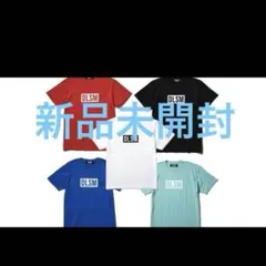 Item thumbnail for item 361cf619-89b1-424a-9268-0242a7a1304c