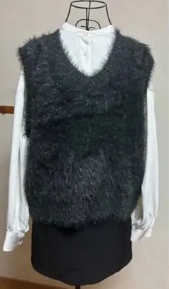 earth music & ecology ノーカラーシャツ F