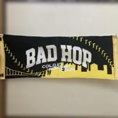 Taipow様 リクエスト 2点 まとめ商品