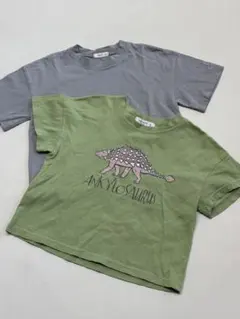 kokokids lalaland　恐竜　Tシャツ 半袖　2枚セット　XS